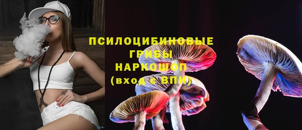 бошки Осинники