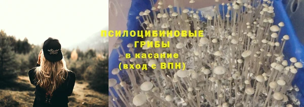бошки Осинники