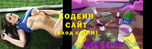 индика Осташков
