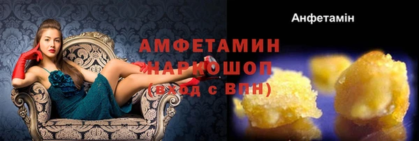 индика Осташков
