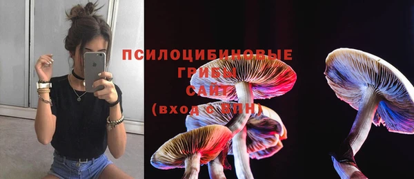 индика Осташков