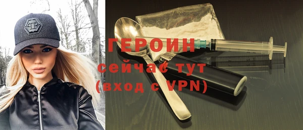 индика Осташков