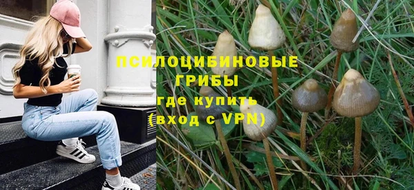 индика Осташков