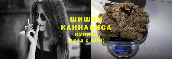 бошки Осинники