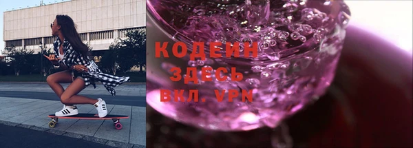 индика Осташков
