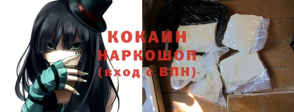 шишки Галич