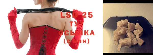 индика Осташков