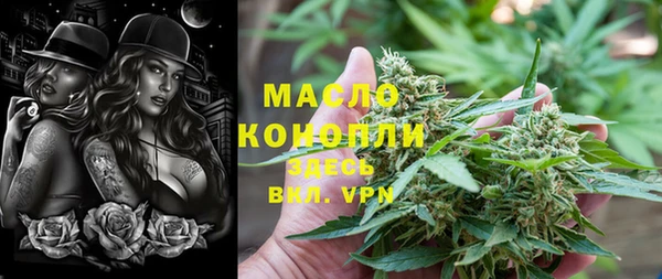 индика Осташков