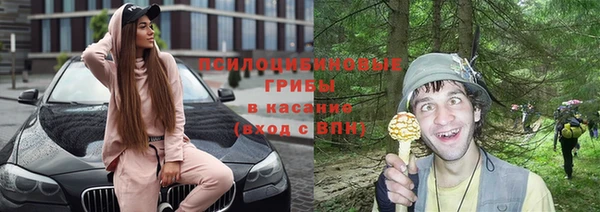 бошки Осинники