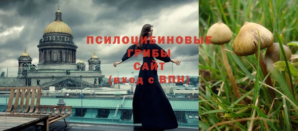 индика Осташков