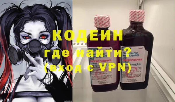 шишки Галич