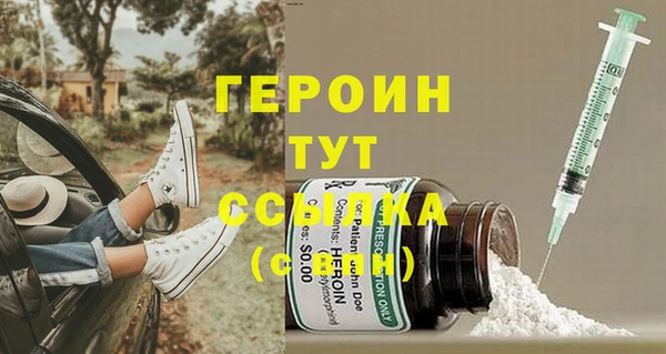 индика Осташков