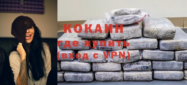 индика Осташков