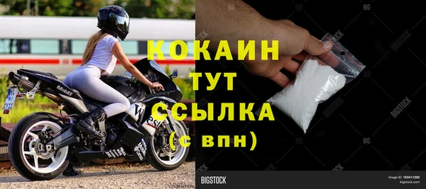 индика Осташков