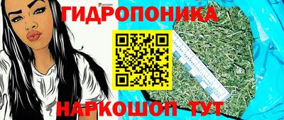прущие крисы Донецк