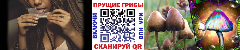 цены наркотик  Переславль-Залесский  Галлюциногенные грибы Cubensis 