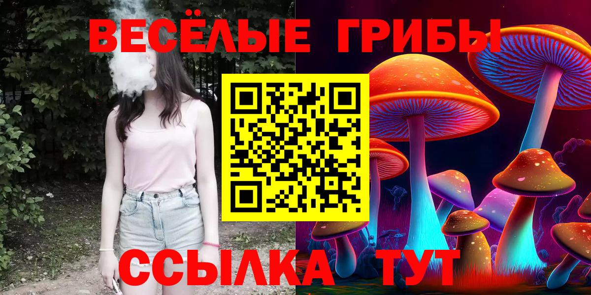 Псилоцибиновые грибы MAGIC MUSHROOMS Переславль-Залесский